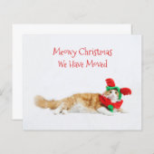 バジェットおもしろいキャットクリスマス新しい住所を移動 (正面/裏面)