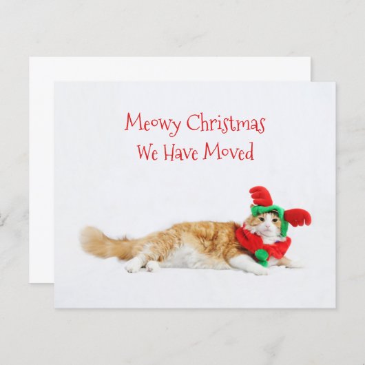 バジェットおもしろいキャットクリスマス新しい住所を移動 (正面/裏面)