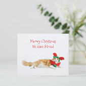 バジェットおもしろいキャットクリスマス新しい住所を移動 (スタンド正面)