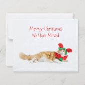 バジェットおもしろいキャットクリスマス新しい住所を移動 (正面)