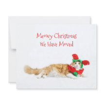 バジェットおもしろいキャットクリスマス新しい住所を移動