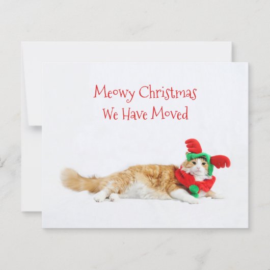 バジェットおもしろいキャットクリスマス新しい住所を移動 (正面)