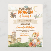 バジェットかわいい水の色ドラゴンベビー1st誕生日 チラシ (正面)