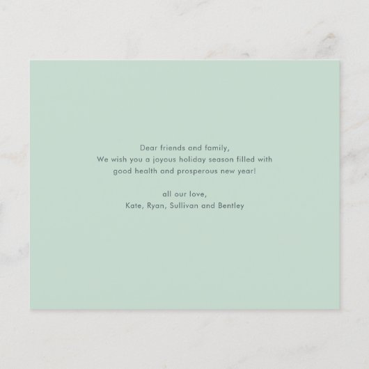 バジェットはっきりしたタイプフォトクリスマスホリデーカード (裏面)