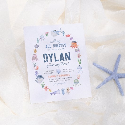 バジェットアンダーザシーボーイズ海賊海誕生日