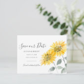 バジェットエレガントひまわり植物保存日 (スタンド正面)