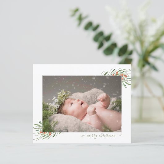 バジェットエレガントリーフ果実クリスマスフォト (スタンド正面)