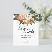 バジェットオレンジ柑橘類の緑のナツカードを保存 (スタンド正面)