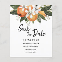 バジェットオレンジ柑橘類の緑のナツカードを保存