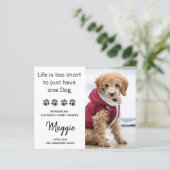 バジェットカスタムフォト新しいペット新しい子犬の発表 (スタンド正面)