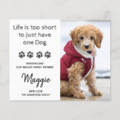 バジェットカスタムフォト新しいペット新しい子犬の発表 (正面)