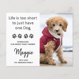 バジェットカスタムフォト新しいペット新しい子犬の発表