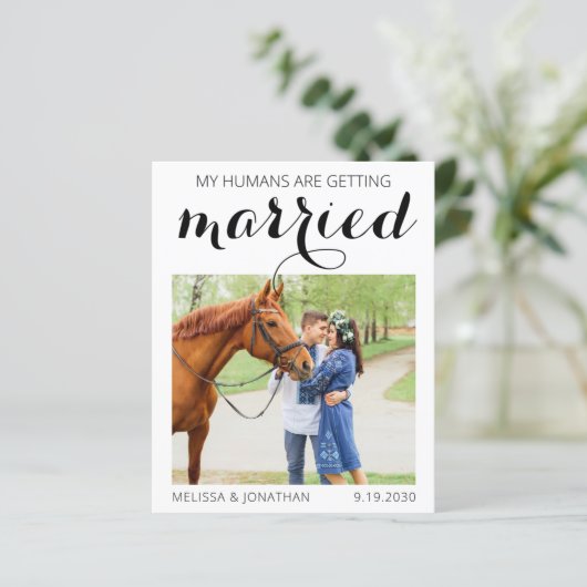 バジェットカスタムフォト馬の馬馬馬乗馬の日付を保存 (スタンド正面)