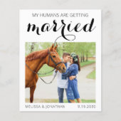 バジェットカスタムフォト馬の馬馬馬乗馬の日付を保存 (正面)