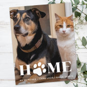 バジェットカスタムホームPet写真移動した犬の移動