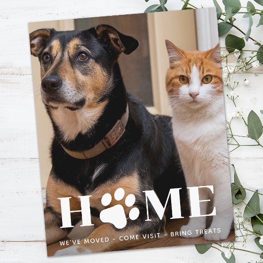 バジェットカスタムホームPet写真移動した犬の移動