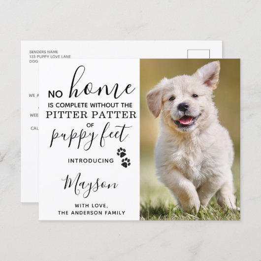 バジェットカスタム写真新しいペットの子犬の発表 (正面/裏面)