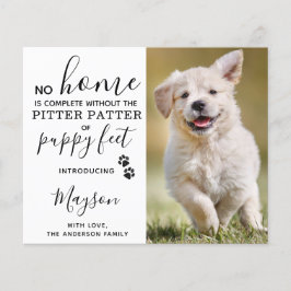 バジェットカスタム写真新しいペットの子犬の発表