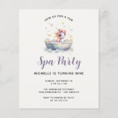 バジェットキュートパステルポニースパデイキッドバースデーパーティー (正面)