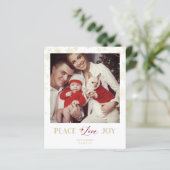 バジェットクリスマスゴールデンスノーフレーク&ホリー写真 (スタンド正面)