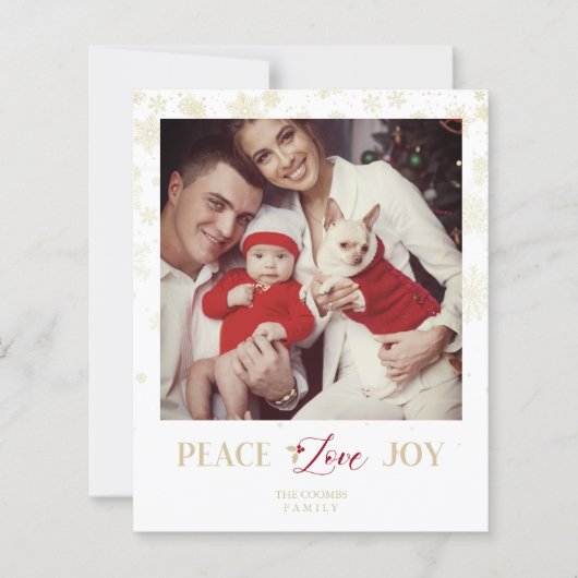 バジェットクリスマスゴールデンスノーフレーク&ホリー写真 (正面)