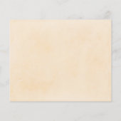 バジェットサファリキリン動物ベビーシャワー チラシ (裏面)