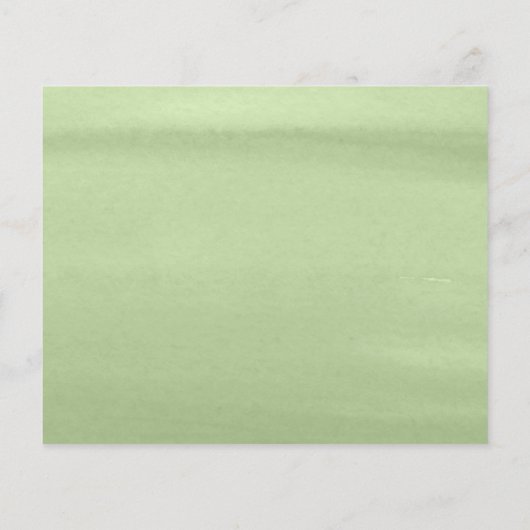 バジェットサファリ動物2野生の1赤ちゃんシャワー (裏面)