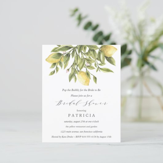 バジェットサマーレモン結婚葉のブライダルシャワー (スタンド正面)