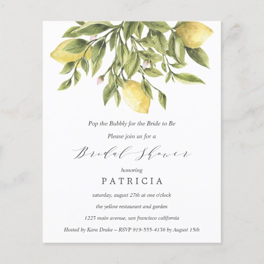 バジェットサマーレモン結婚葉のブライダルシャワー (正面)