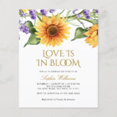 バジェットサンフラワーズラブ開花 (正面)