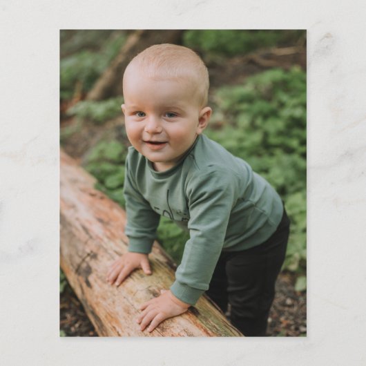 バジェットジャングルアニマルツワイルドフォト誕生日 (裏面)