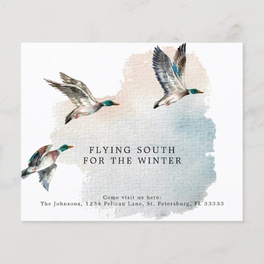 バジェットダックス飛んでいるサウス仮新しいホームカード (正面)