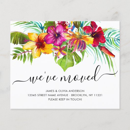 バジェットトロピカルフローラ引っ越しましたニューホームムービング (正面)