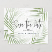 バジェットトロピカルリーフセージ緑の保存日 (正面/裏面)