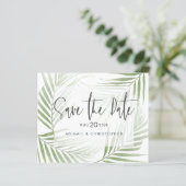 バジェットトロピカルリーフセージ緑の保存日 (スタンド正面)