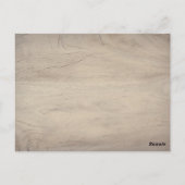 バジェットネイビーブルーとコーラル結婚ズウッドランド ポストカード (裏面)