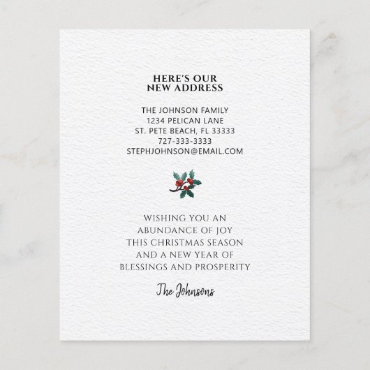 バジェットバードホリークリスマスの動きの発表 (裏面)