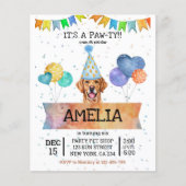 バジェットパウィーゴールデンレトリエバードッグパピー誕生日 チラシ (正面)