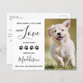 バジェットパピーラブドッグ新しいペット発表 (正面/裏面)