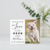 バジェットパピーラブドッグ新しいペット発表 (スタンド正面)