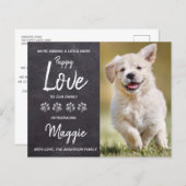 バジェットパピーラブニューペットドッグ発表 (正面/裏面)