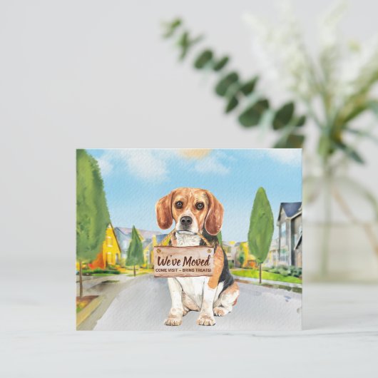 バジェットビーグル引っ越しました新しいアドレス犬の移動 (スタンド正面)