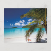 バジェットビーチトロピカル結婚式招待状 (裏面)