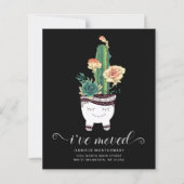 バジェットピンク多肉株ポット移動発表 (正面)