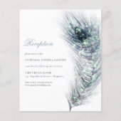 バジェットピーコックフェザーウェディングレセプションエンクロージャ (正面)