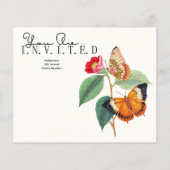 バジェットフレンドリーファミリー懇親会招待状フライヤー チラシ (裏面)