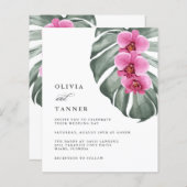 バジェットホットピンクオーランズオンモンステラ熱帯 (正面/裏面)