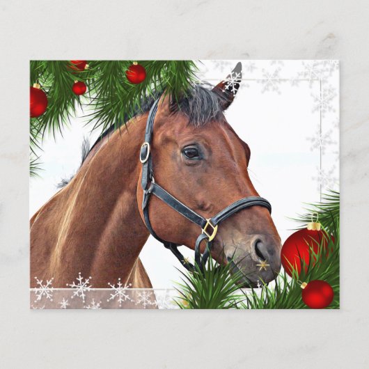 バジェットホースクリスマスウマ科のキュートポニーホリデイ (正面)