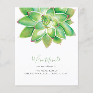 バジェットボタニカルウォーター色多肉移動 チラシ