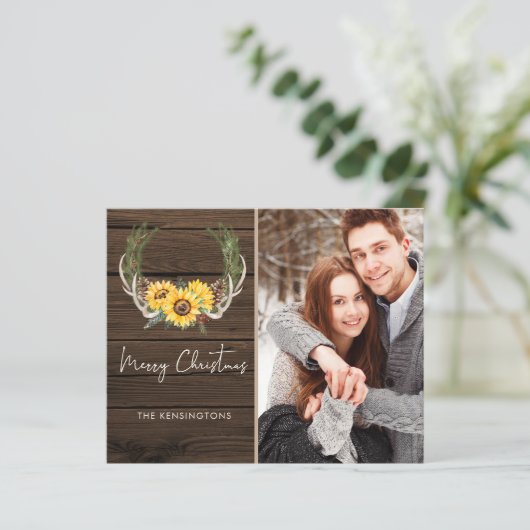 バジェットボホクリスマスサンフラワーホリデー写真 (スタンド正面)